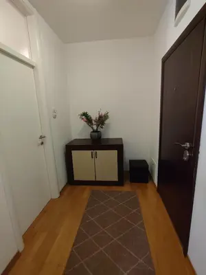 a hallway with a plant on a table and a door at Apartman Amabilis in Banja Luka