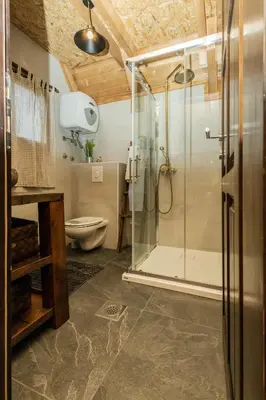a bathroom with a shower and a toilet at Village house Iva in Livno