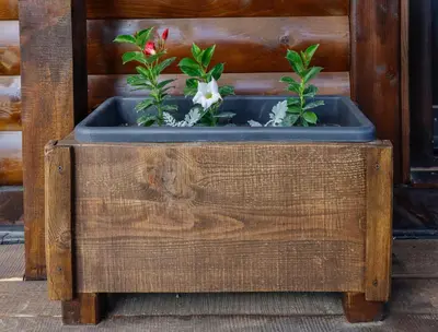 a wooden box with two plants in it at Village house Iva in Livno