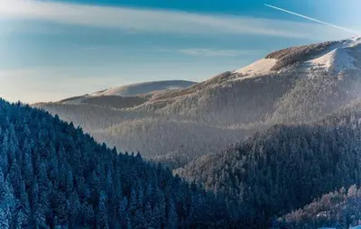 a view of a mountain with trees on it at Apartment Kupres in Kupres