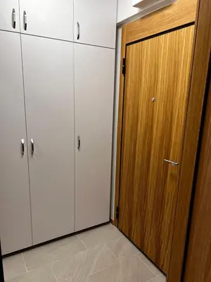 a closet with white cabinets and a wooden door at River Apartment in Banja Luka