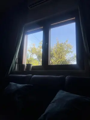 a window in a bedroom looking out at a tree at Apartman Elma in Bihać