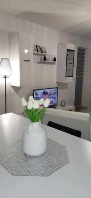 a white vase with white flowers sitting on a table at Comfort in Kiseljak