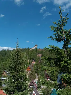 a view of a mountain with trees and houses at Vila Flora Vlašić in Šišava