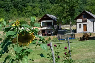 a sunflower in a yard with a house in the background at Vikendice - Vodenica Jurić in Prozor