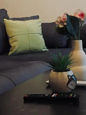 a plant in a vase on a table next to a remote control at Apartman Fin in Jajce