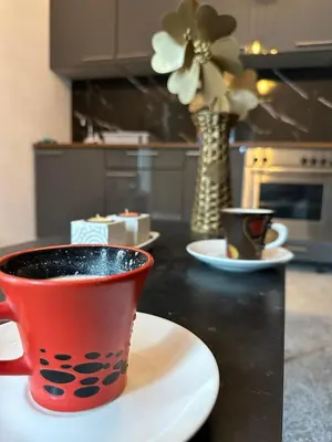 a red coffee cup sitting on a plate on a counter at Apartman Fin in Jajce