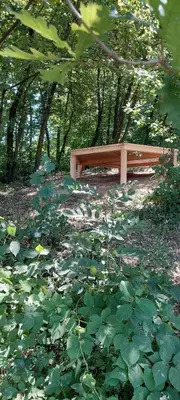 a bench sitting in the middle of a field of leaves at BLOK- Brick and wood cottage in Visoko