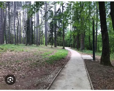 a path in the middle of a forest with trees at Vikendica Anastasija in Laktaši
