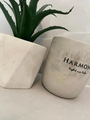 a plant in a white vase next to a pot at Apartman Rawda 1 in Jajce