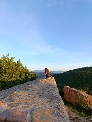 a dog sitting on the edge of a rock at Visoko Pyramid VALLEY in Visoko