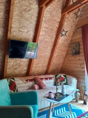 a living room with a couch and a tv at Visoko Pyramid VALLEY in Visoko