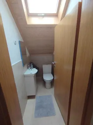 a bathroom with a toilet and a skylight at Villa Janj in Šipovo