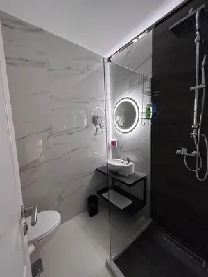a bathroom with a shower with a sink and a toilet at Sunny Corner Apartments in Visoko