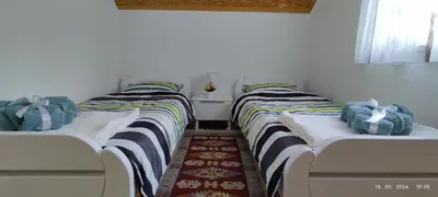 two twin beds sitting in a room with at Villa Seferovka in Kulen Vakuf