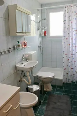a bathroom with a sink and a toilet and a shower at Green River Rooms in Šipovo