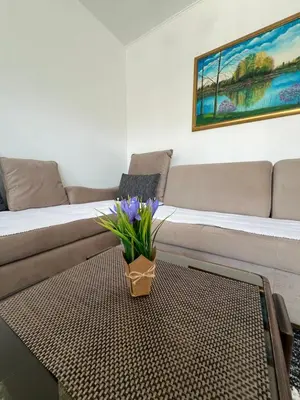 a living room with a couch with a plant on a table at Apartman Jan in Bihać