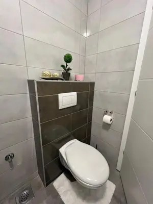 a bathroom with a toilet with a plant on a shelf at Apartman Jan in Bihać