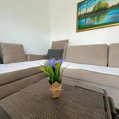 Apartman Jan