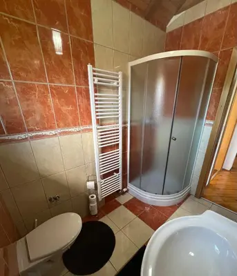 a bathroom with a shower and a toilet and a sink at Teal Apartment 3 in Bihać
