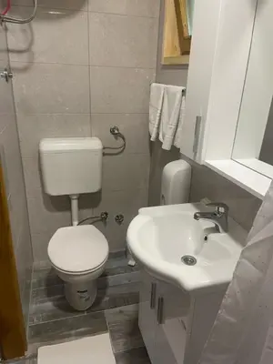 a small bathroom with a toilet and a sink at Etno zona Oaza mira in Donji Vakuf