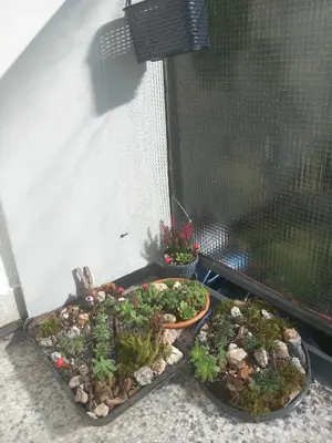 two potted plants sitting on the floor next to a window at Apartman DEA in Bihać