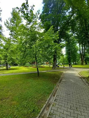 a park with a tree and a brick sidewalk at Apartman DEA in Bihać
