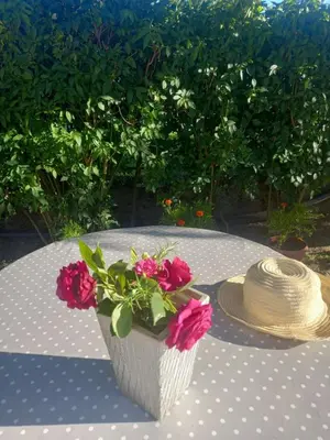 a table with a hat and flowers on it at Studio apartman Nejra in Bihać