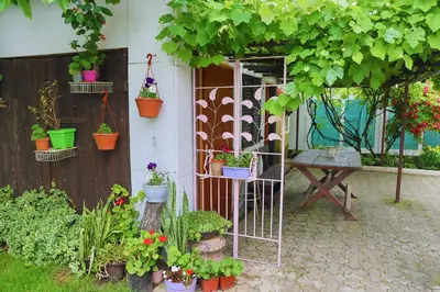 a garden with potted plants and a table and a fence at Apartman SUMI in Bihać