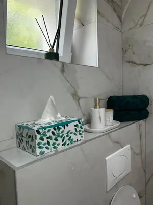 a bathroom with a shelf with a box of tissues at Apartman Rawda 2 in Jajce