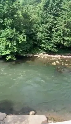 a view of a river from a train at 