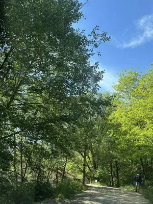 a person riding a bike down a road with trees at Comfort house near pyramids II in Visoko