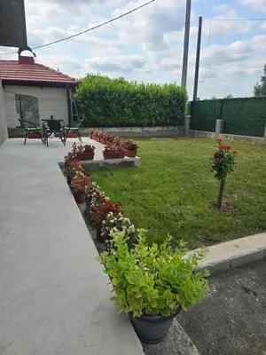 a row of potted plants in a yard at Apartman Nia in Bihać