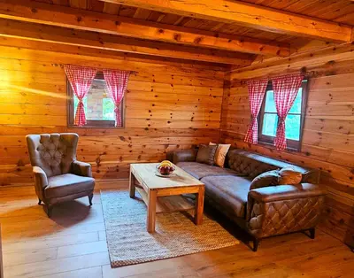 a living room with a couch and chairs in a log cabin at Villa Rivera in Banja Luka