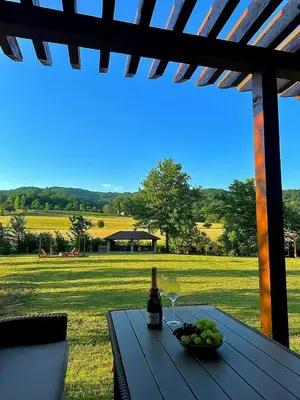a table with a bottle of wine and a bowl of fruit at Villa Rivera in Banja Luka