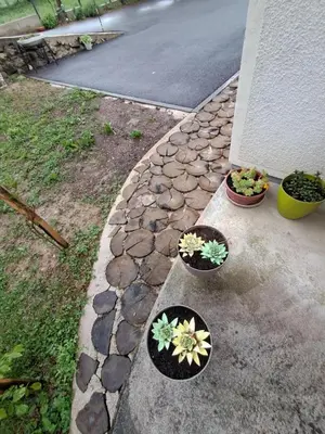 three potted plants sitting on the side of a street at Kuca za odmor Amber in Bihać