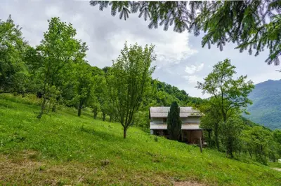 a house on the side of a hill with trees at Oaza Mira - Sakina Pecina in Fojnica
