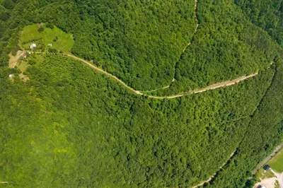 an overhead view of a dirt road in a forest at Oaza Mira - Sakina Pecina in Fojnica