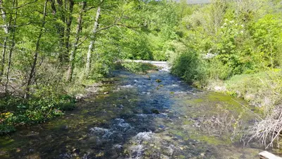 a stream of water in a forest with trees at Vikendica Davidović in Landeke