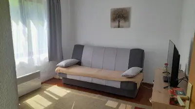a living room with a couch and a television at Vikendica Davidović in Landeke