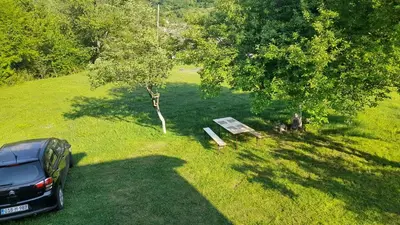 a car parked in the grass next to a tree at Vikendica Davidović in Landeke