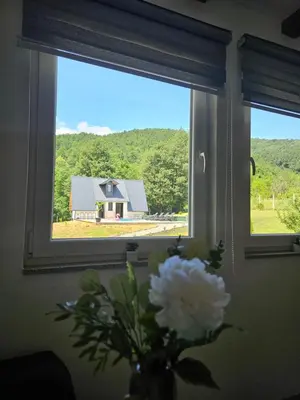 a vase with a white flower in front of a window at Seosko domaćinstvo Bajbut in Bihać