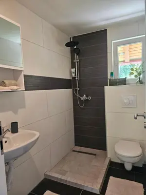 a bathroom with a toilet and a sink at Seosko domaćinstvo Bajbut in Bihać