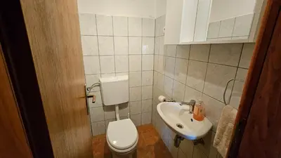 a small bathroom with a toilet and a sink at Livanjsko Polje Cottage #14 in Lusnić