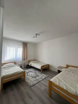 a bedroom with two beds and a rug at Apartment BORICI in Bihać