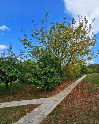 a stone path in a park with a tree at Villa Enigma in Bihać