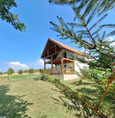 a house in a field with a tree at GREEN MOON Breza in Breza