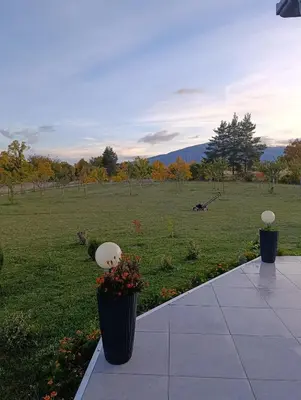 two flower pots sitting on a patio with a field at Vila Anamari in Livno