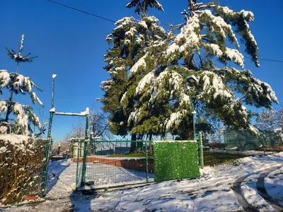 a tree covered in snow next to a fence at VIKENDICA GARFILD SA BAZENOM i SAUNOM BANJA LUKA in Banja Luka