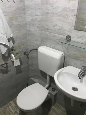 a bathroom with a white toilet and a sink at Vila Damir in Gornja Šišava